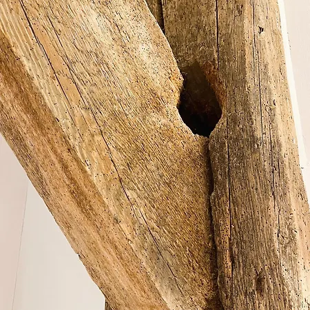 Senden 11 Buetz דירה *