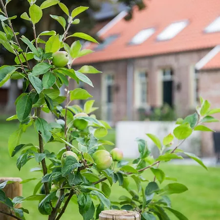 Lägenhet Senden 11 Buetz