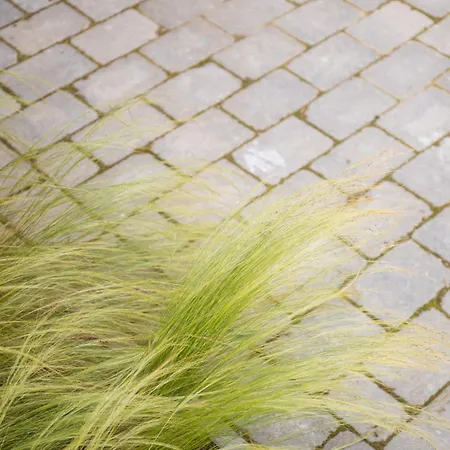 Lägenhet Senden 11 Buetz