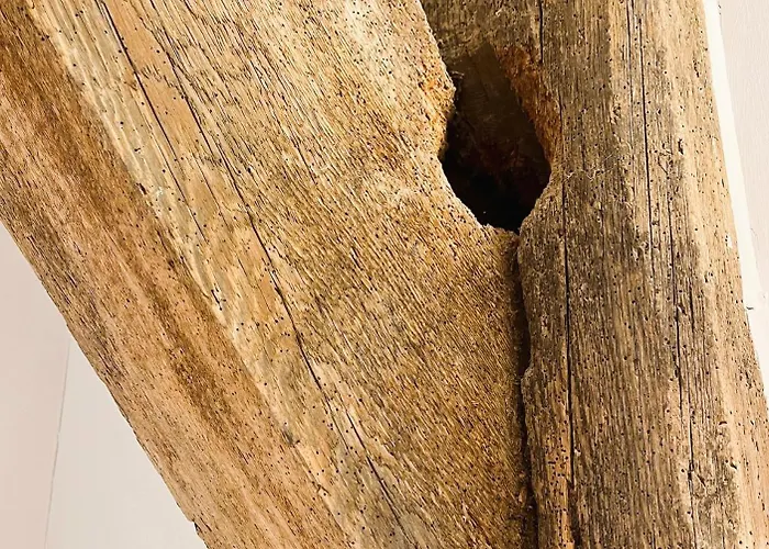 Senden 11 Buetz Lejlighed *